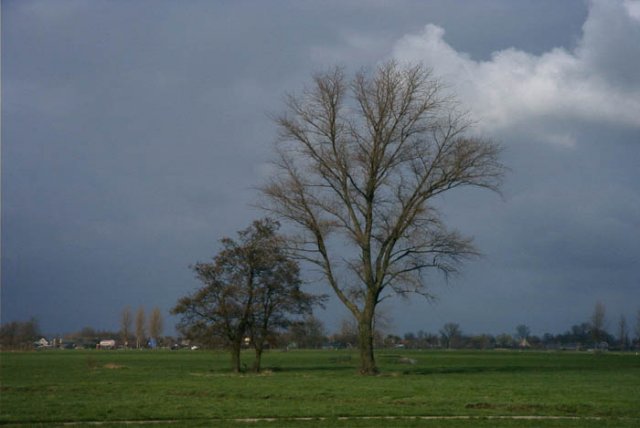 giessennieuwkerk21012007 2